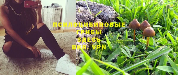 ПСИЛОЦИБИНОВЫЕ ГРИБЫ Алзамай