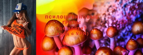 соль ск Протвино