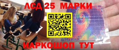 Альфа ПВП Новодвинск