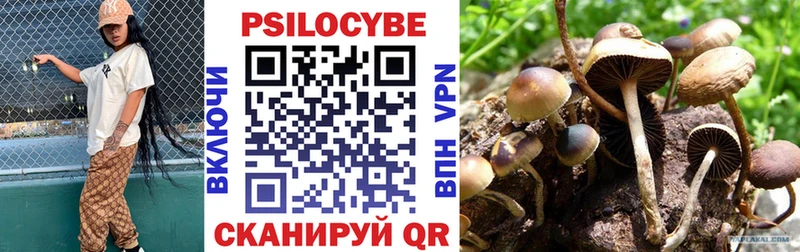 где можно купить   Мегион  kraken сайт  Псилоцибиновые грибы MAGIC MUSHROOMS 