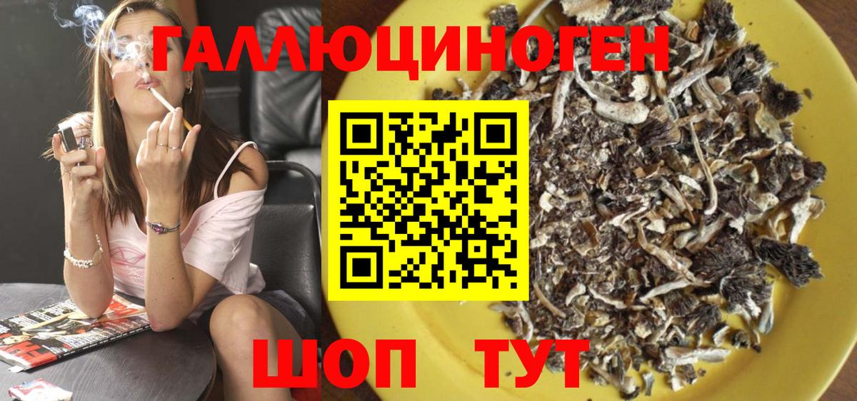 Мегион  Галлюциногенные грибы Psilocybine cubensis  Вход с VPN 