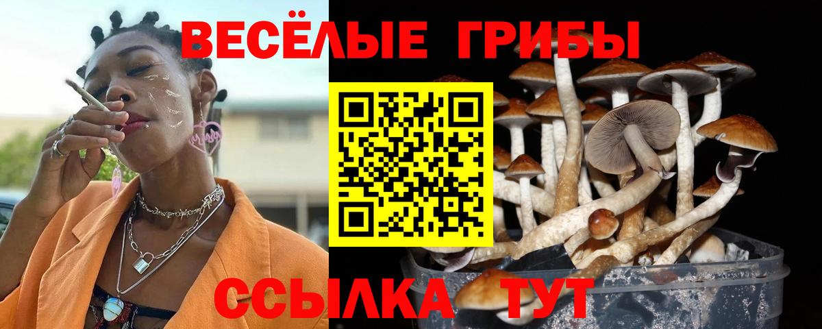 Галлюциногенные грибы мицелий Мегион